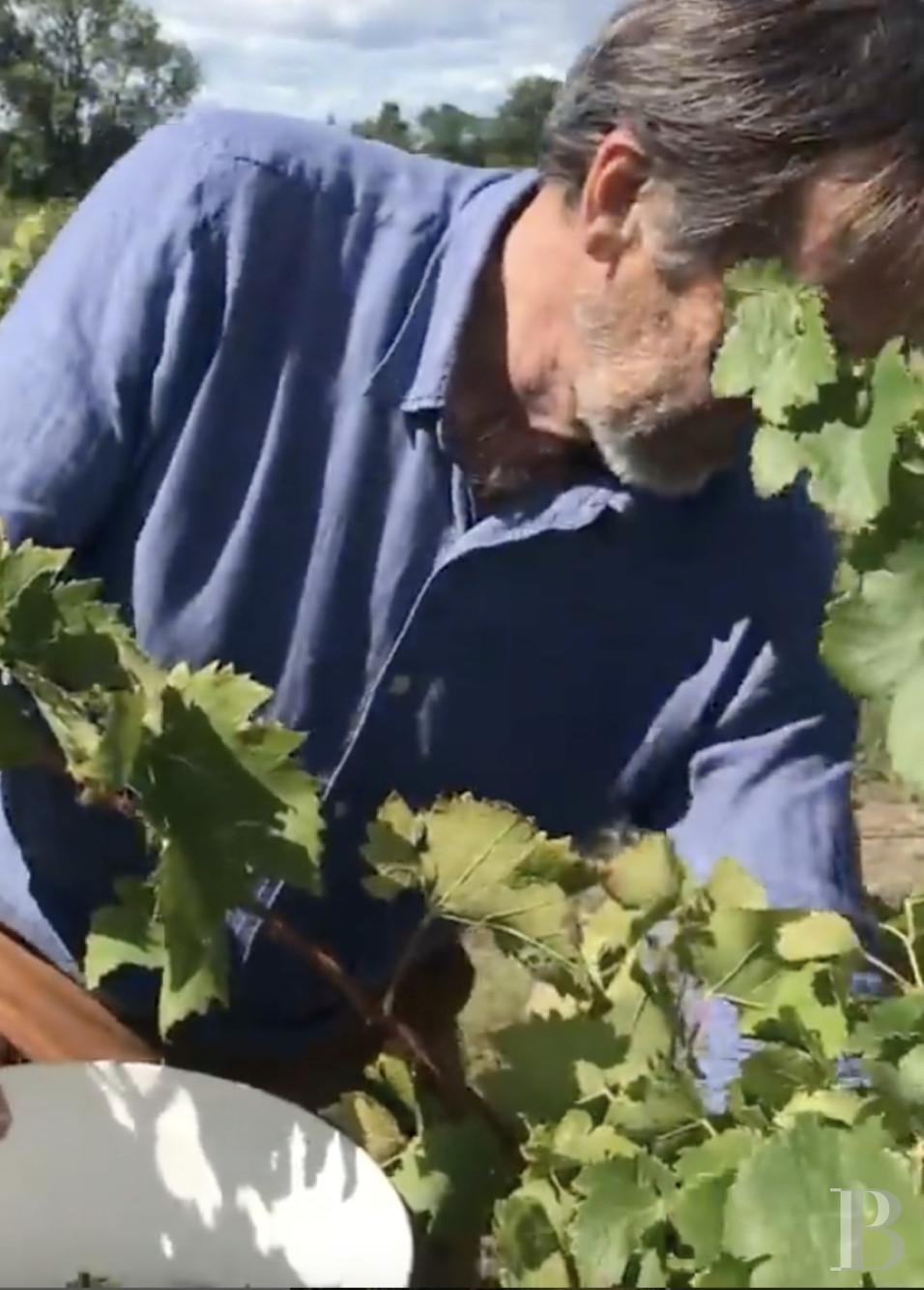 Dans le Vaucluse, au sud-est de Cairanne, une maison dédiée à la villégiature au cœur d’un domaine viticole  - photo  n°32